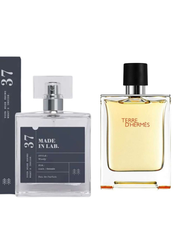 Įkvėpti Hermes Terre D'hermes 037