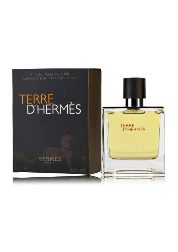 Įkvėpti Hermès Terre D'Hermes 404